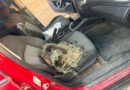 Localizan camioneta con reporte de robo y equipo táctico.