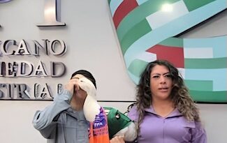 Familia del «Pato Merlin» inicò el registro del «Pato Merlin» ante el IMPI