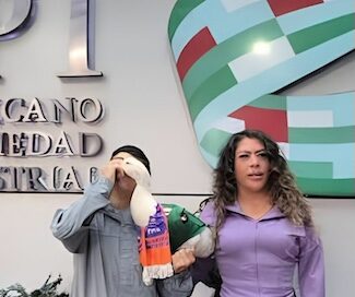 Familia del «Pato Merlin» inicò el registro del «Pato Merlin» ante el IMPI
