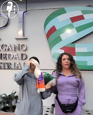 Familia del «Pato Merlin» inicò el registro del «Pato Merlin» ante el IMPI