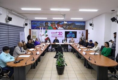 Golpe burocrático al IEM: Con criterios centralistas y desproporcionados, el INE decapita al arbitraje electoral en Michoacán