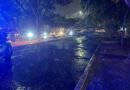 Fuertes vientos derriban árbol y bloquean la Calzada La Huerta en Morelia