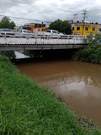 morelia