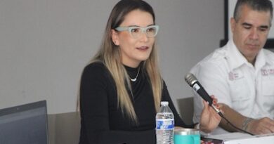 Sedum presenta avances de ‘Guardianes de la Movilidad’ ante Consejo para Prevención de Accidentes Sedum presenta avances de ‘Guardianes de la Movilidad’ ante Consejo para Prevención de Accidentes