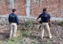 Catean un domicilio y rescatan a tres lomitos víctimas de maltrato