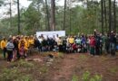 Gobierno de Morelia fortalece la recuperación de los bosques con jornada de reforestación
