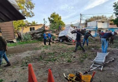 Árbol cae sobre tres vehículos en la colonia Benito Juárez, en Apatzingán