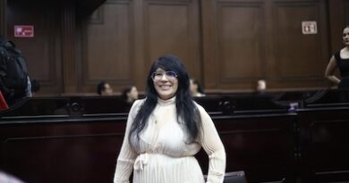 Vanhe Caratachea propone una ley para proteger a madres autónomas