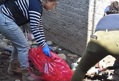 Hallan borrego muerto durante cateo en Morelia; investigan caso de maltrato animal.