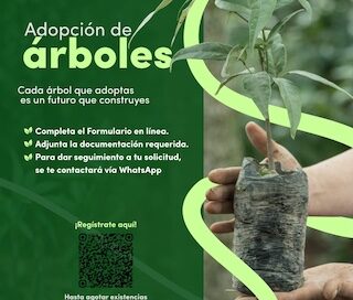 Gobierno de Morelia refuerza la reforestación urbana con “Adopta un Árbol”