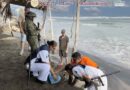 Marina y PROFEPA ponen a salvo 39 huevos de tortuga marina en Playa Azul