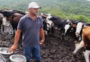 Gobierno de Morelia contribuye al desarrollo del campo