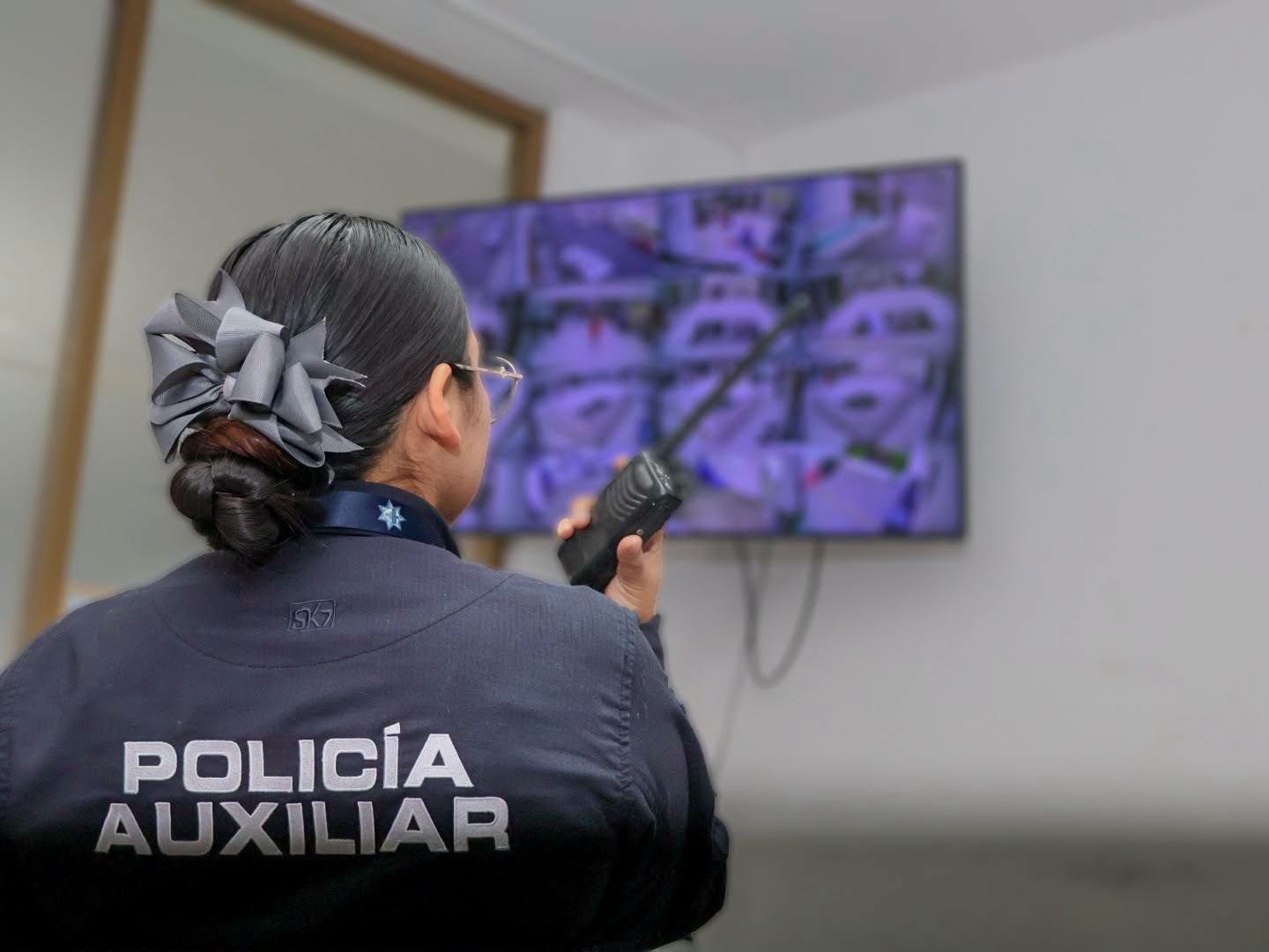 seguridad