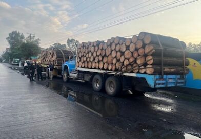Aseguran tres camiones con madera en Charo; investigan a tres hombres por presunta documentación falsa