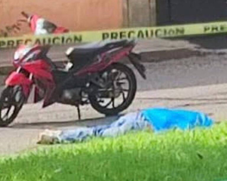 seguridad