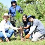 reforestacion