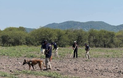 seguridad
