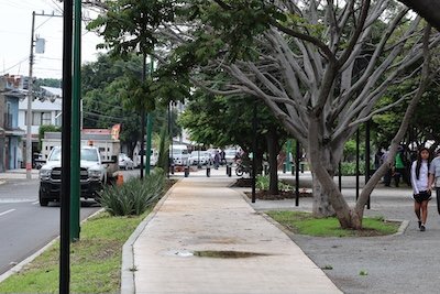 Morelia parque