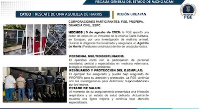 seguridad
