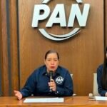 PAN Michoacan