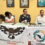 NIMALISTAS