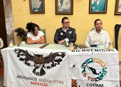 NIMALISTAS