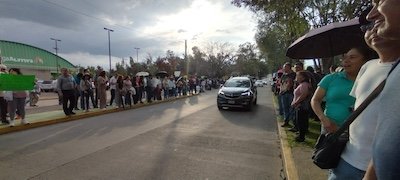 protesta x tala de arboles