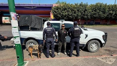 seguridad