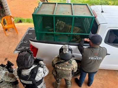 seguridad