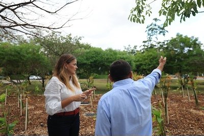 Merida Cecilia Patron