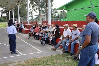 diputada