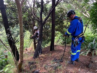 seguridad