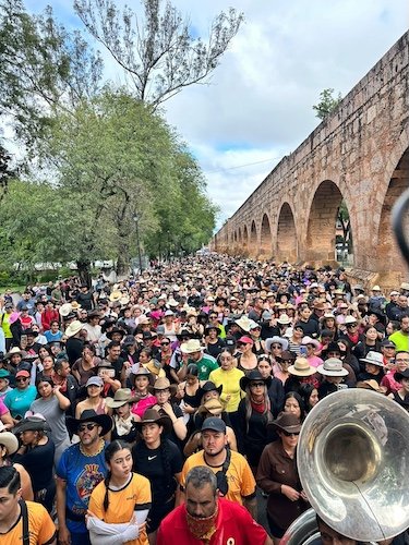 Morelia
