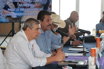 Morelia rural