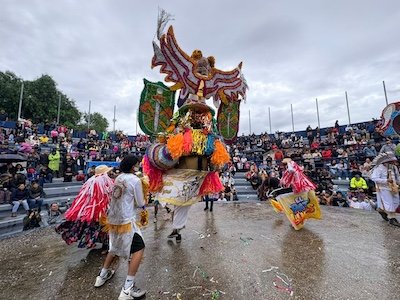 torito de poetate