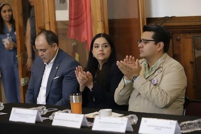 diputado