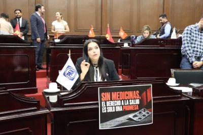 diputada