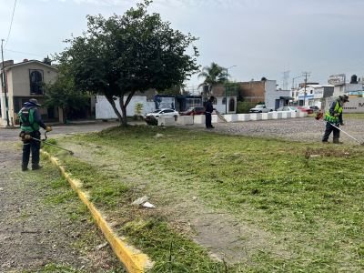 Morelia