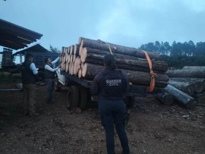seguridad